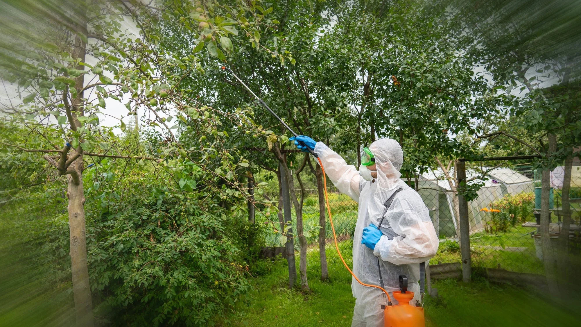 Diafenthiuron dans la lutte antiparasitaire des arbres fruitiers